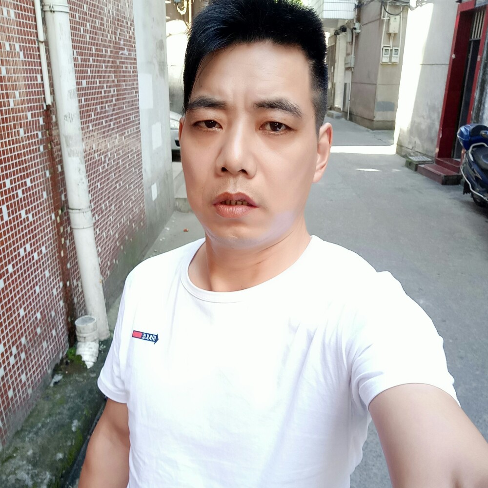 翅膀着急的照片
