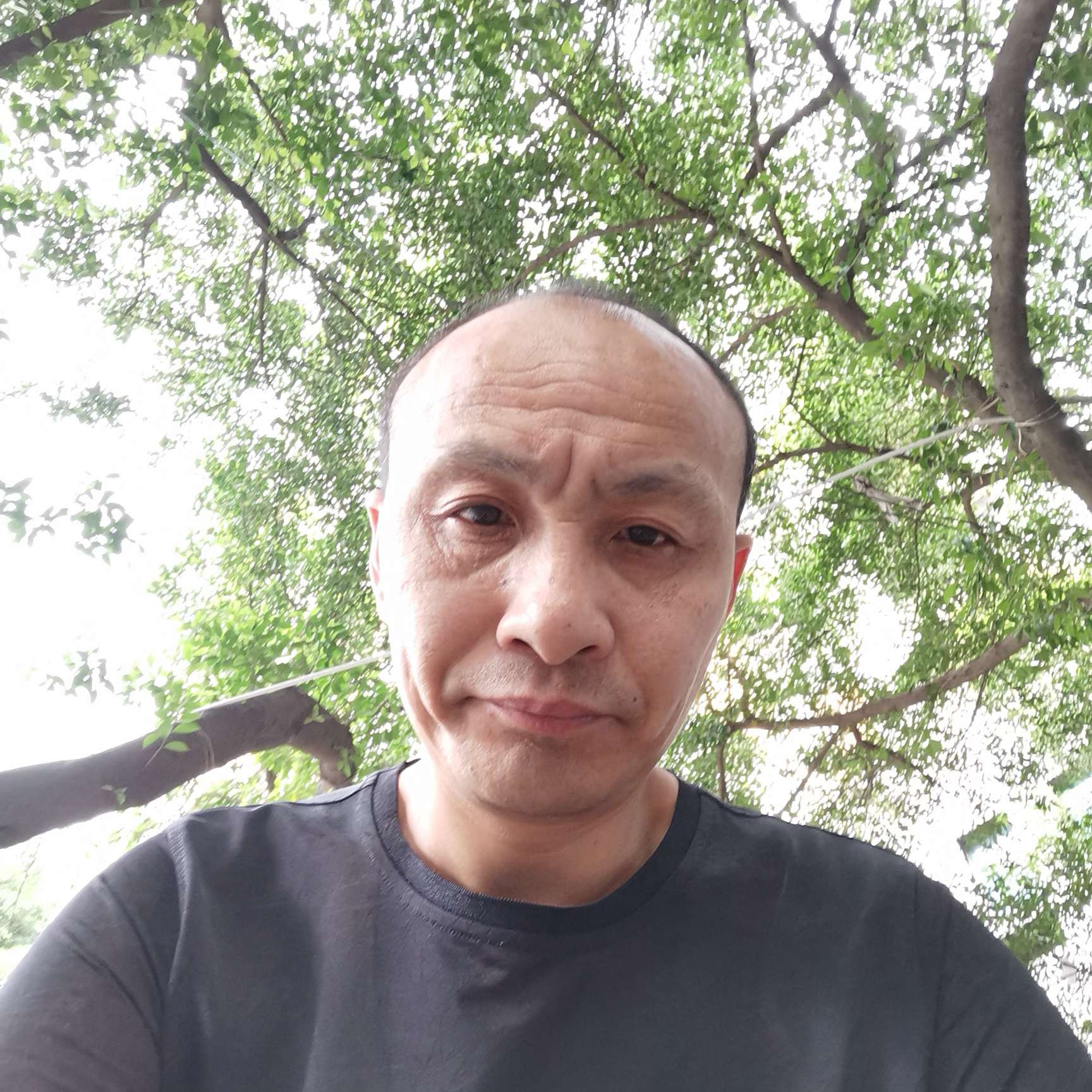 沉静还菠萝的照片