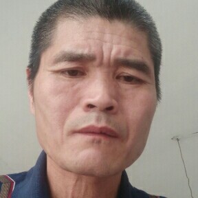 卧龙。的照片
