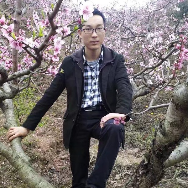 天空中最闪亮星的照片