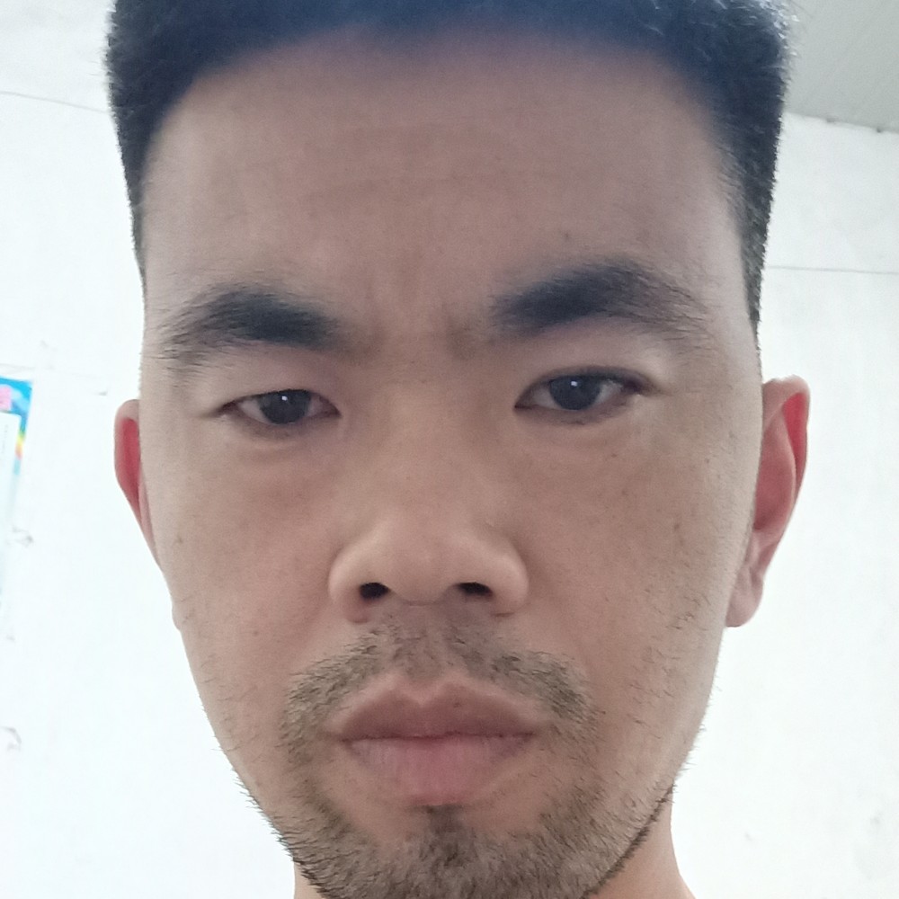 太阳33333的照片