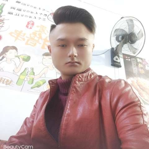 顽皮的泰迪的照片