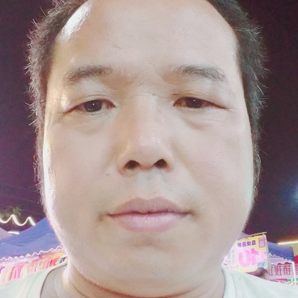 安静苦恋猫咪的照片