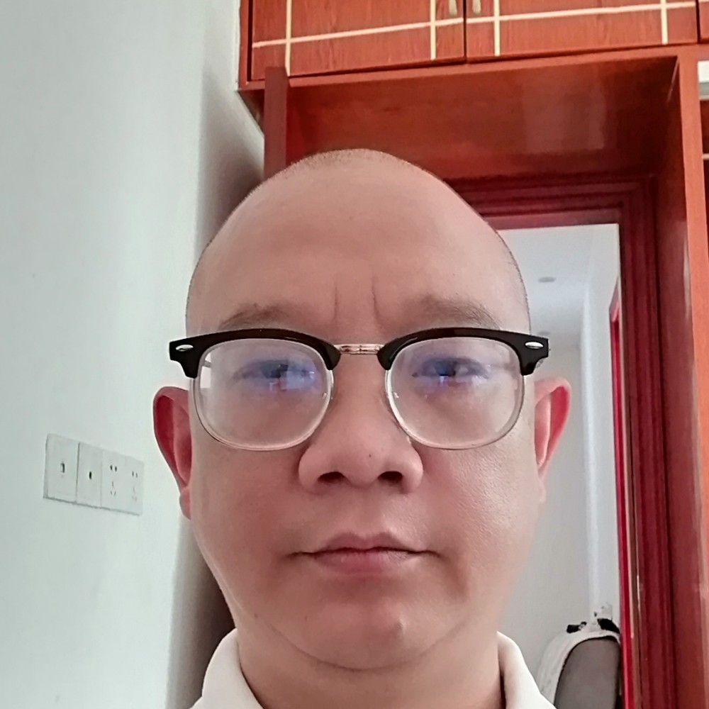 大雁倾心柔弱的照片