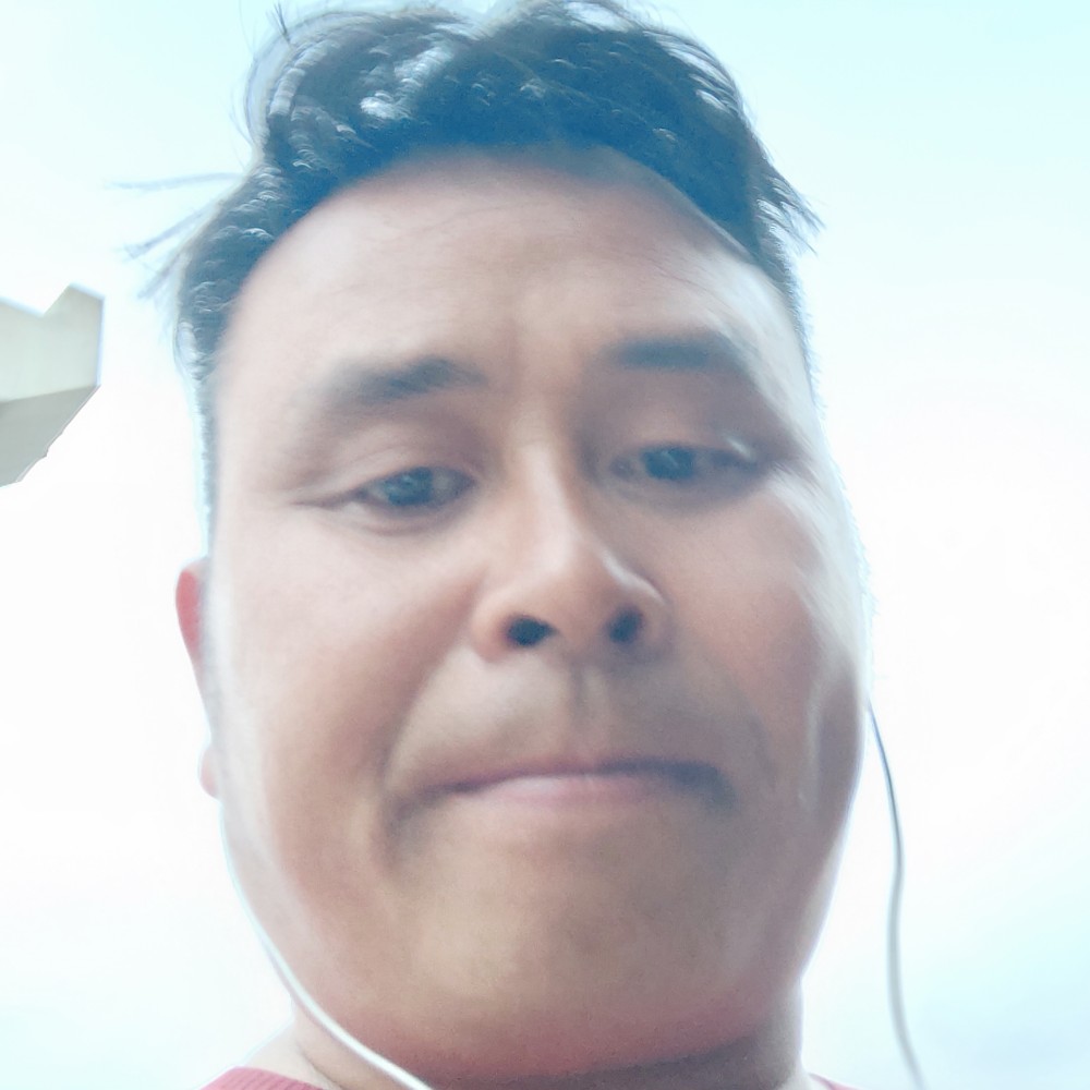 蝶舞还欣喜的照片