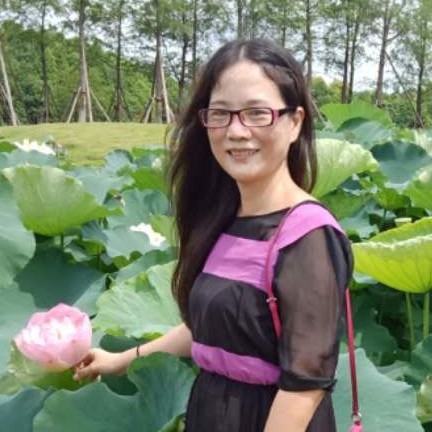 淡雅夕阳的照片