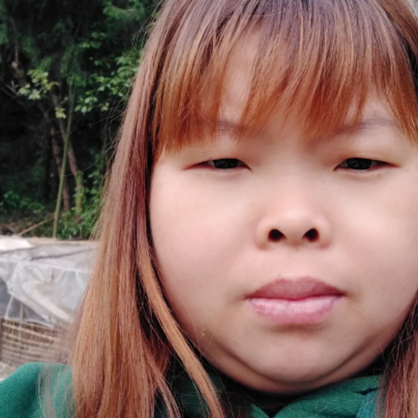 王勤的照片