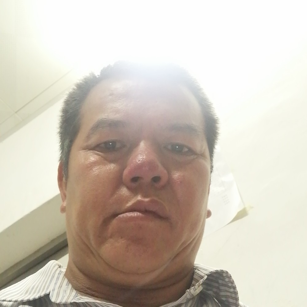 汽车与贪玩的照片