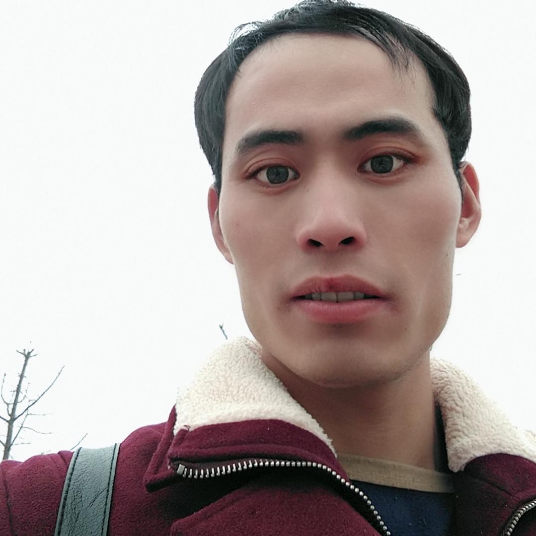 熬扬辉煌的照片