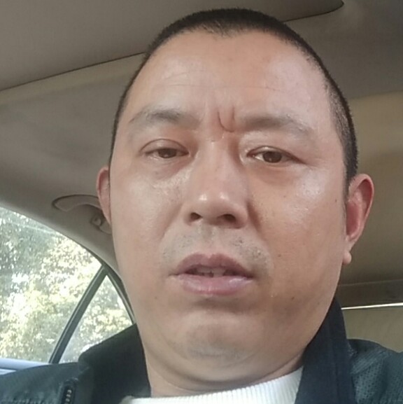 逐风敏感的照片