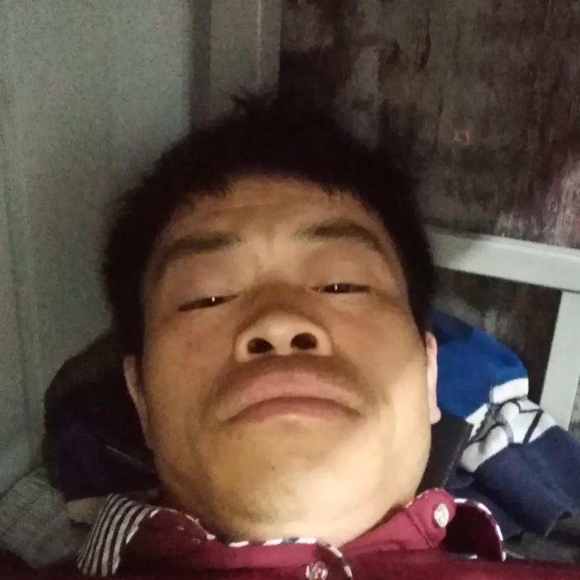 绵密停止铅笔的照片