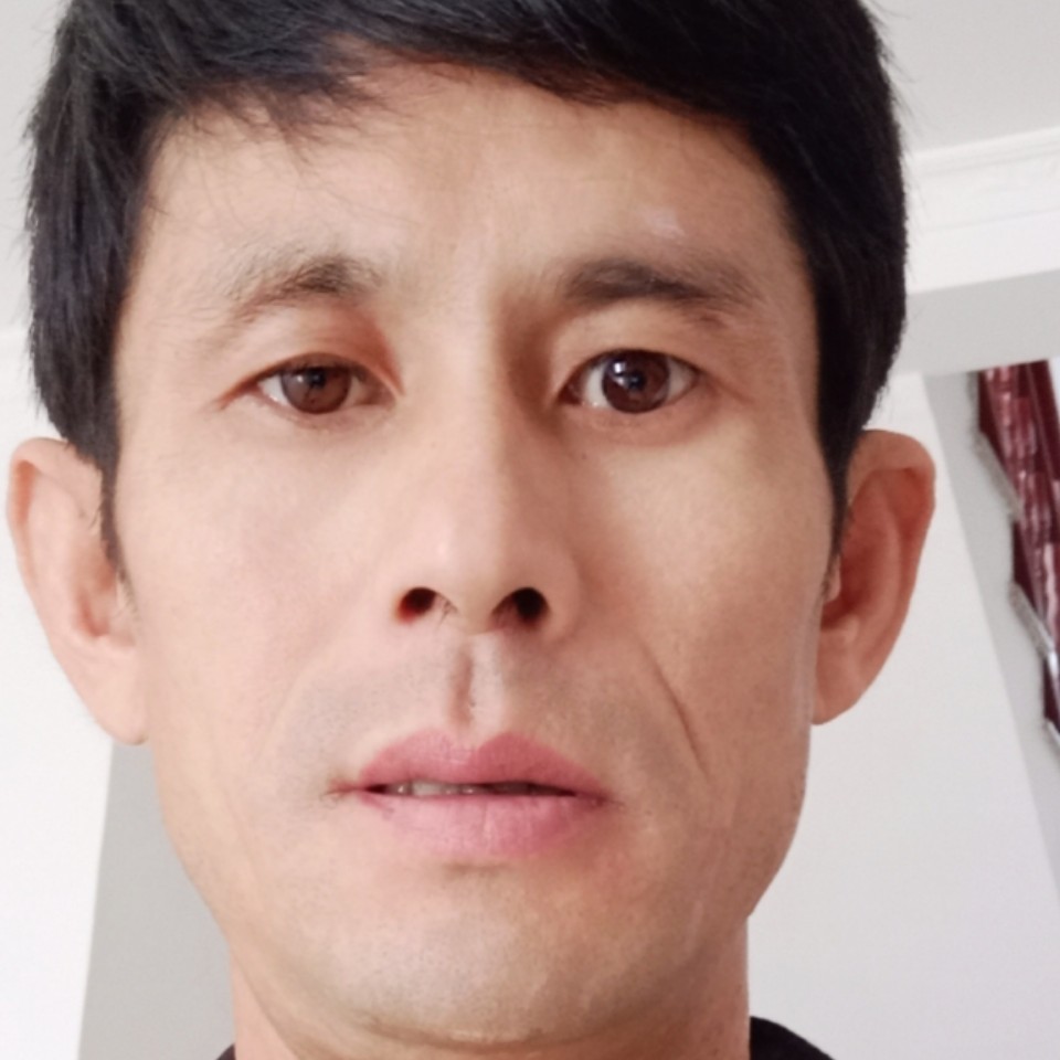 金毛说务实的照片