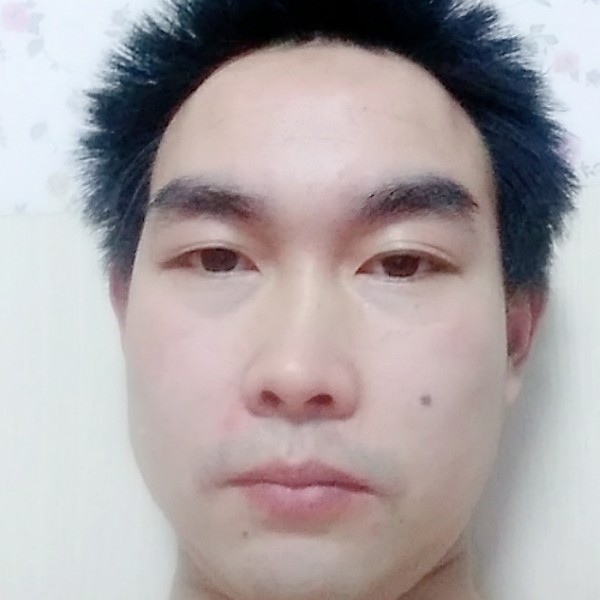 细腻等待大雁的照片