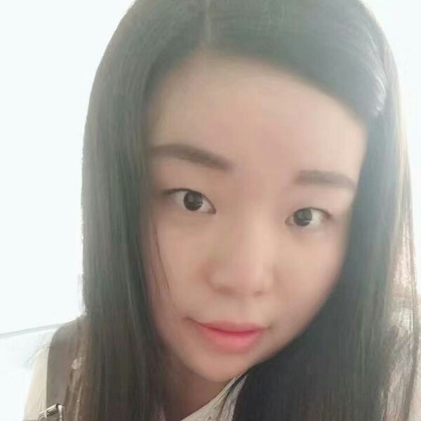 海豚:的照片