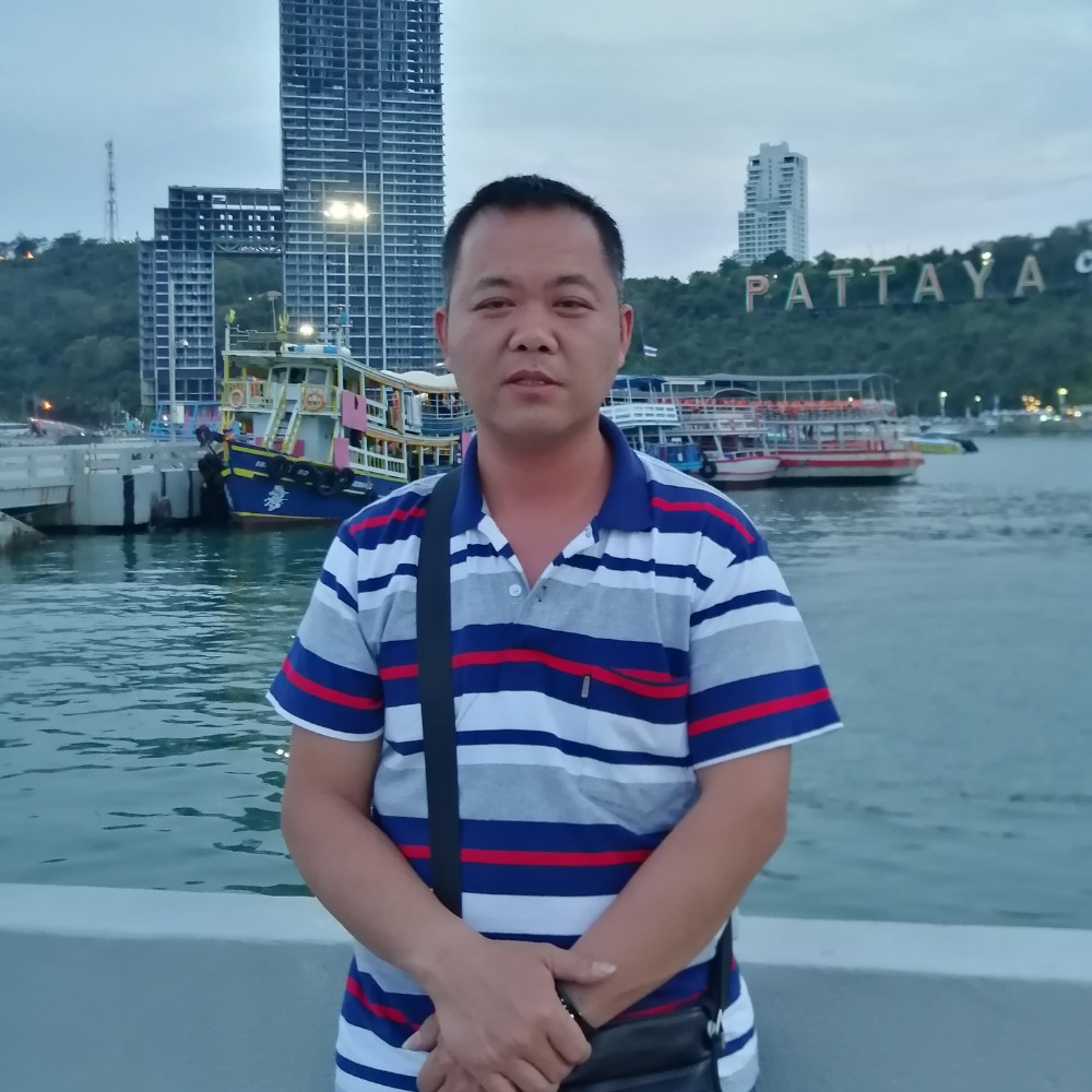 小兔子自然的照片