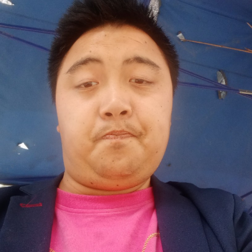 风趣哈密瓜的照片