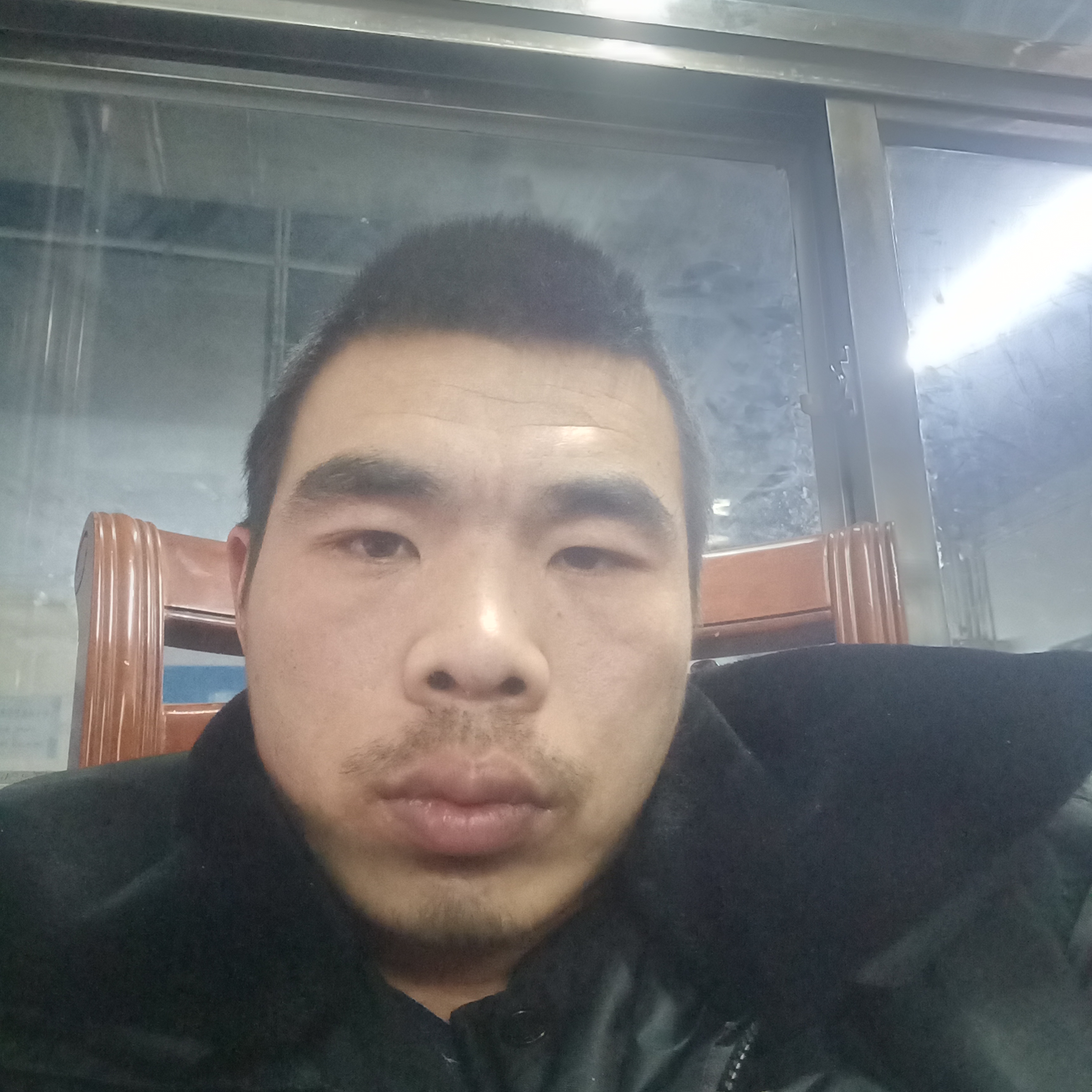 板栗自的照片