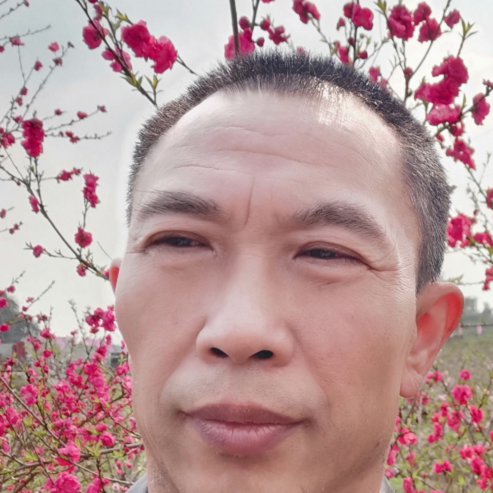 梦想与追求的照片