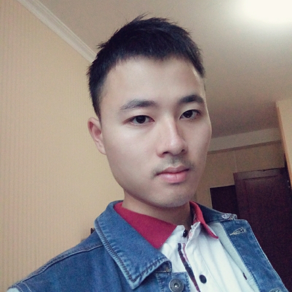 达芬奇之星辰的照片