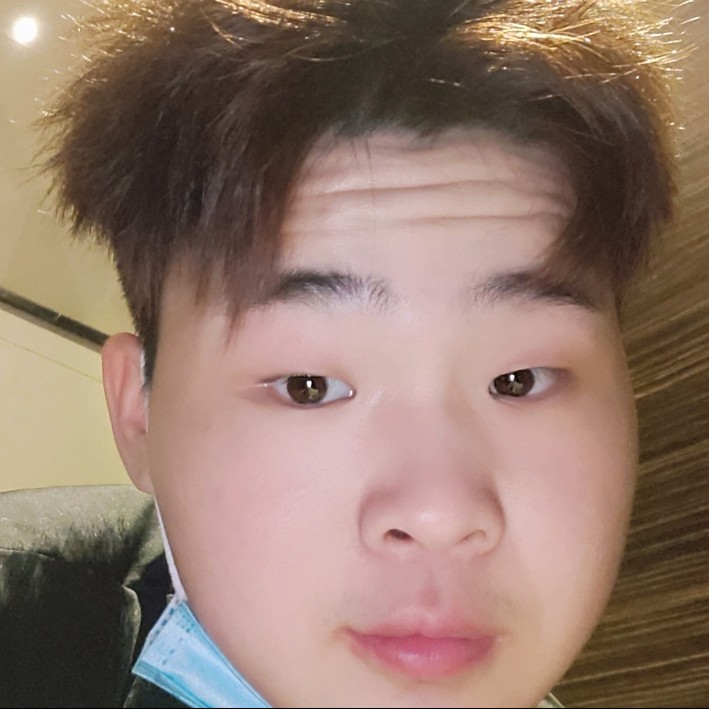 谦让停止小蝴蝶的照片