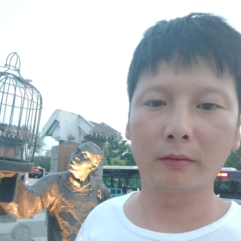 英俊的石头的照片