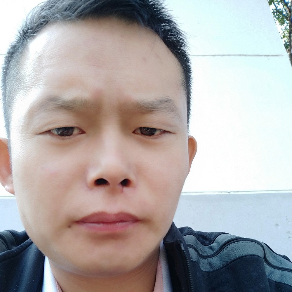 小鸭子怡然的照片