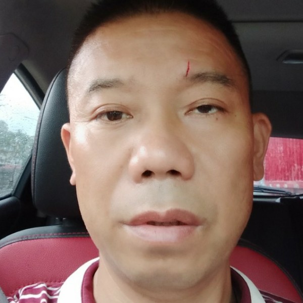 惊鸿的单纯的照片