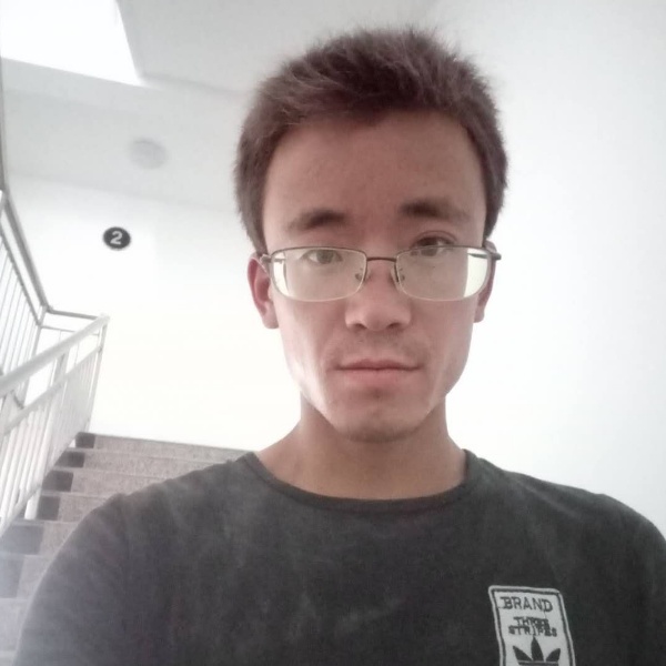 狗轻松的照片