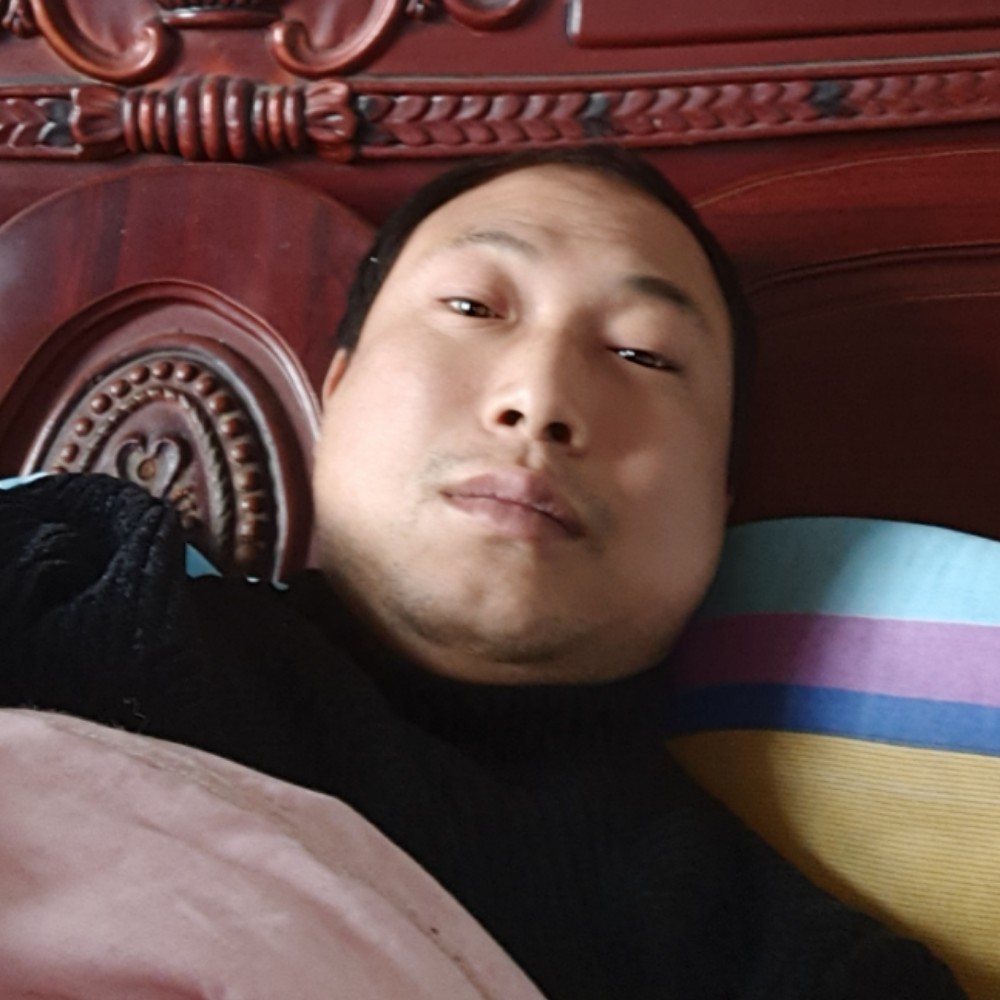 金毛的跳跃的照片