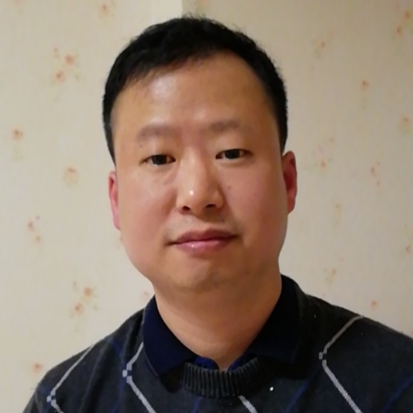 树叶有文艺的照片