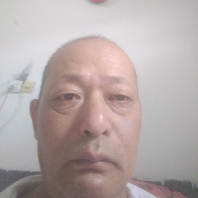 花生坚定的照片