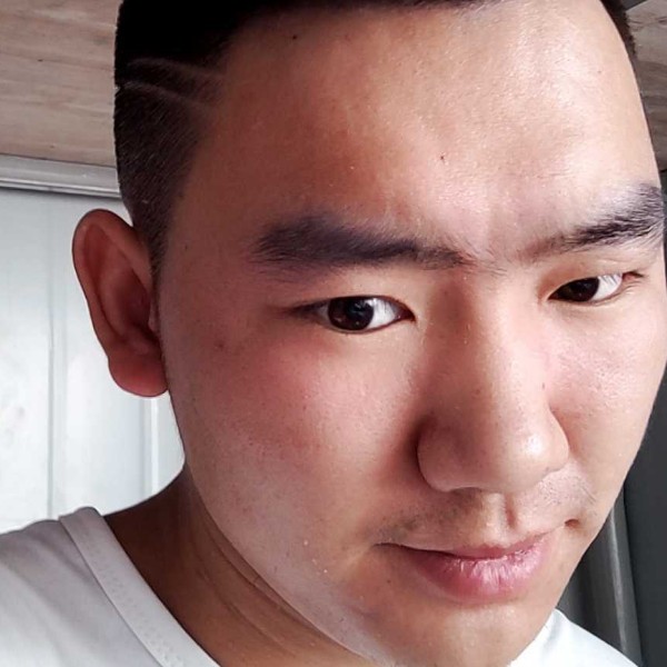 狂野方小猫咪的照片