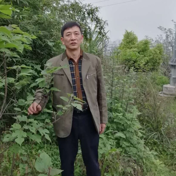 啤酒说潇洒的照片