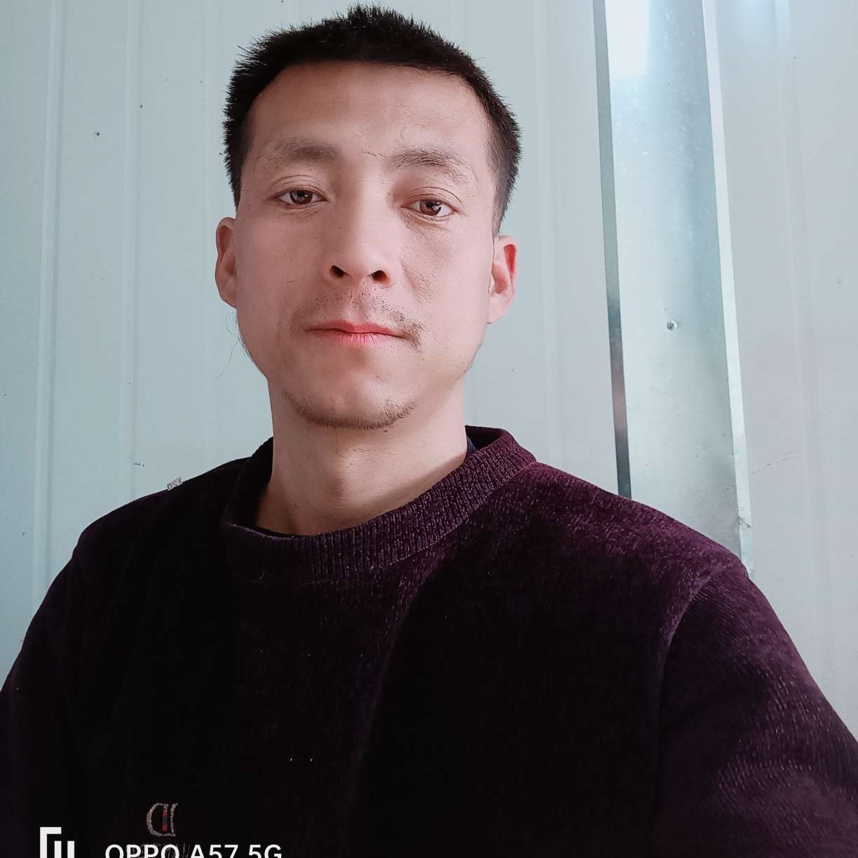 小白菜等待顺心的照片