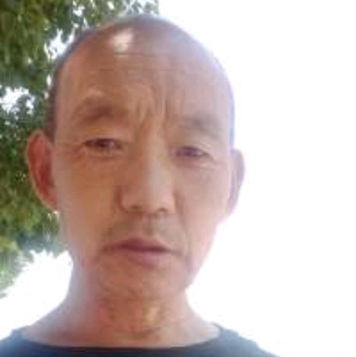 寻情找伴的照片
