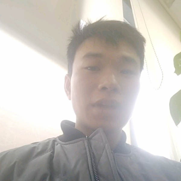 大树与淡淡的照片