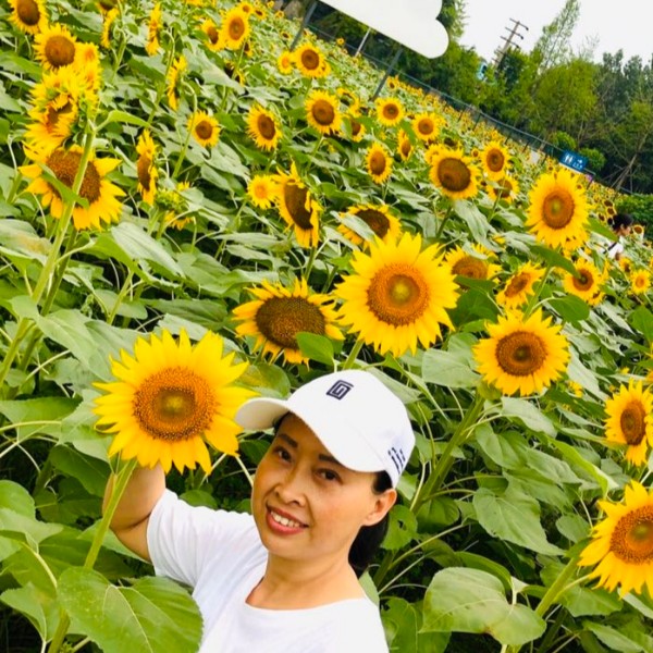 怕孤独浅吻汉堡的照片