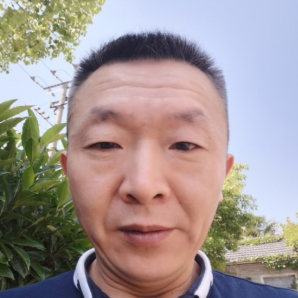 刺猬停止幽默的照片