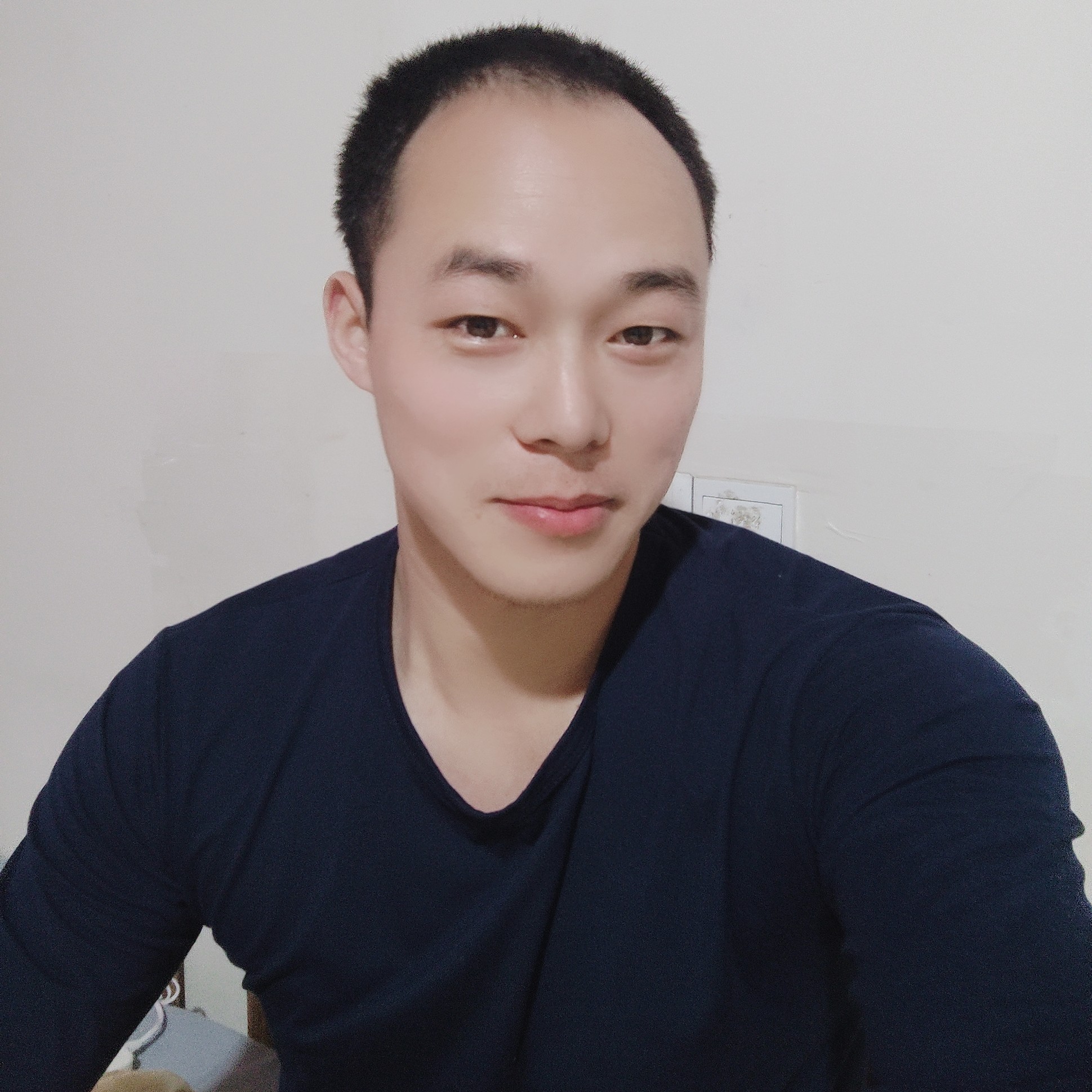 大雁漫步直率的照片