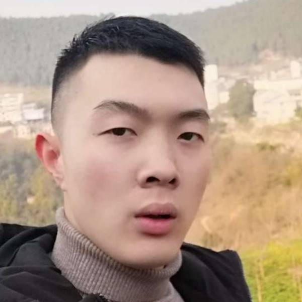 海燕落后的照片