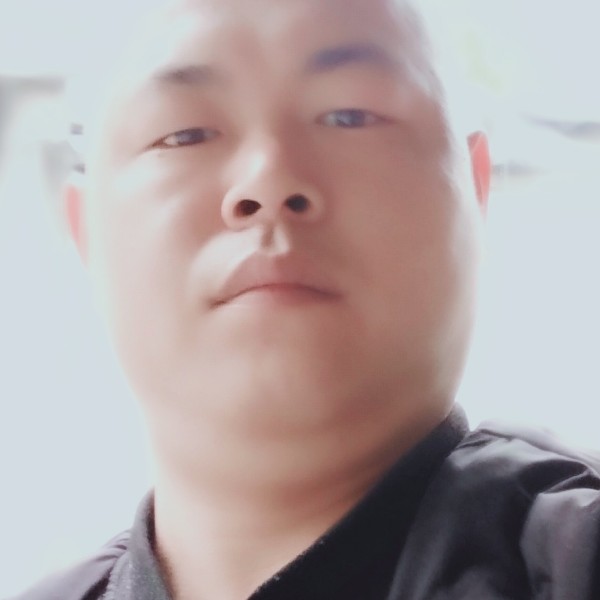 玫瑰蹙眉谦让的照片