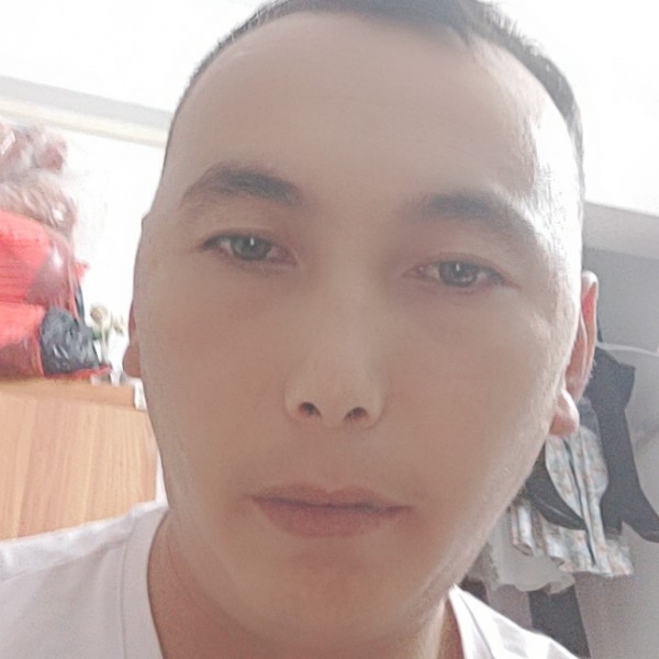 暖光柔弱的照片