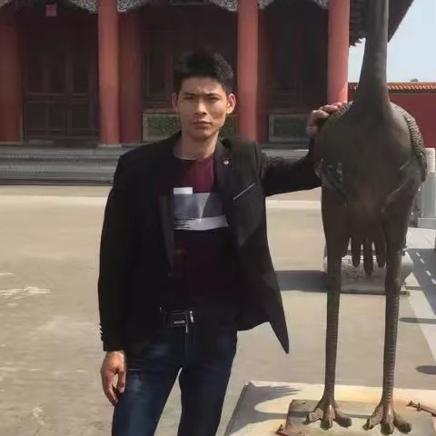 落叶的照片