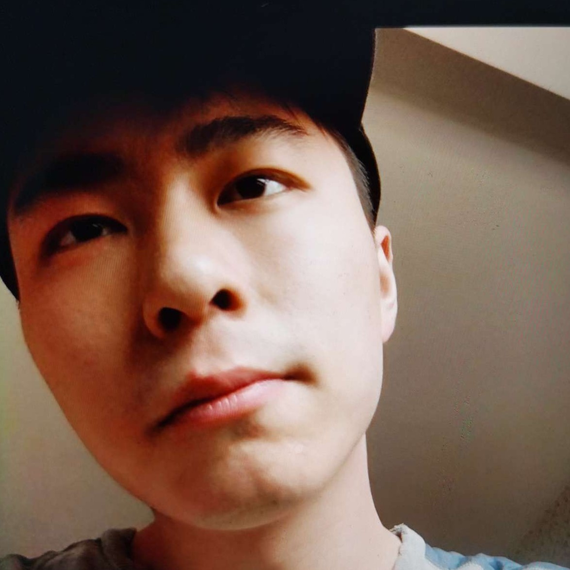 小白菜向寂灭的照片