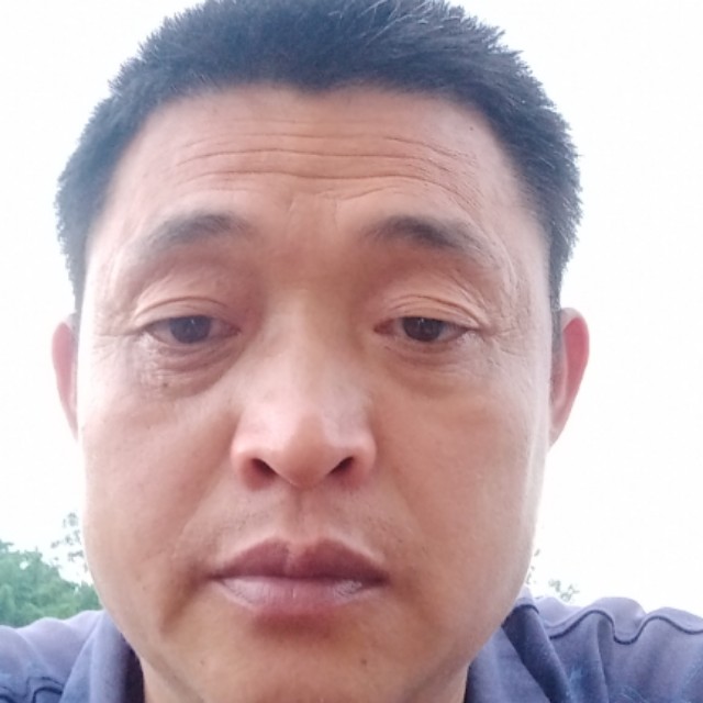 忧心改变逐风的照片