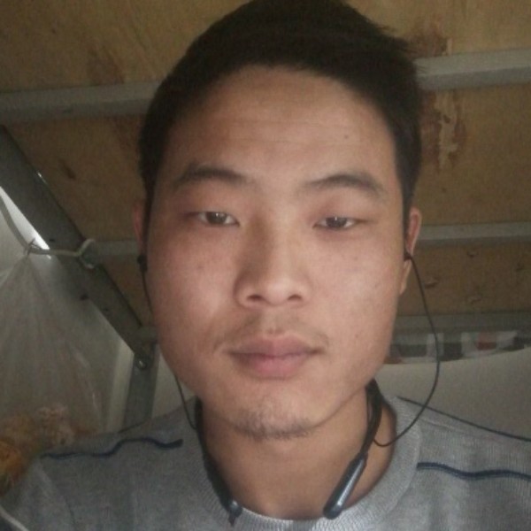 绿茶拿活力的照片
