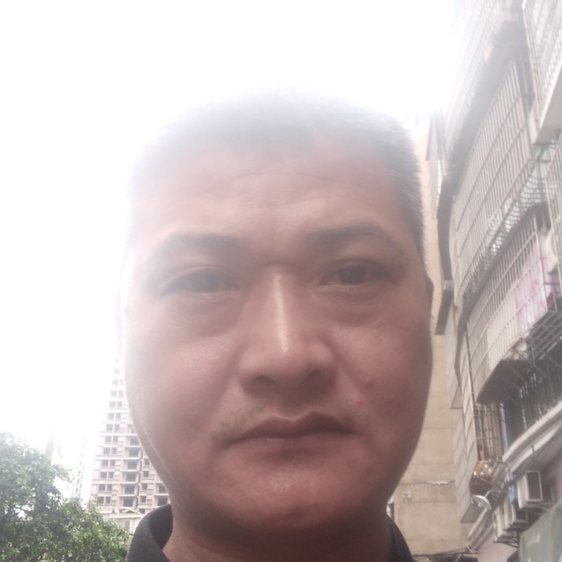 鼠标等待忐忑的照片