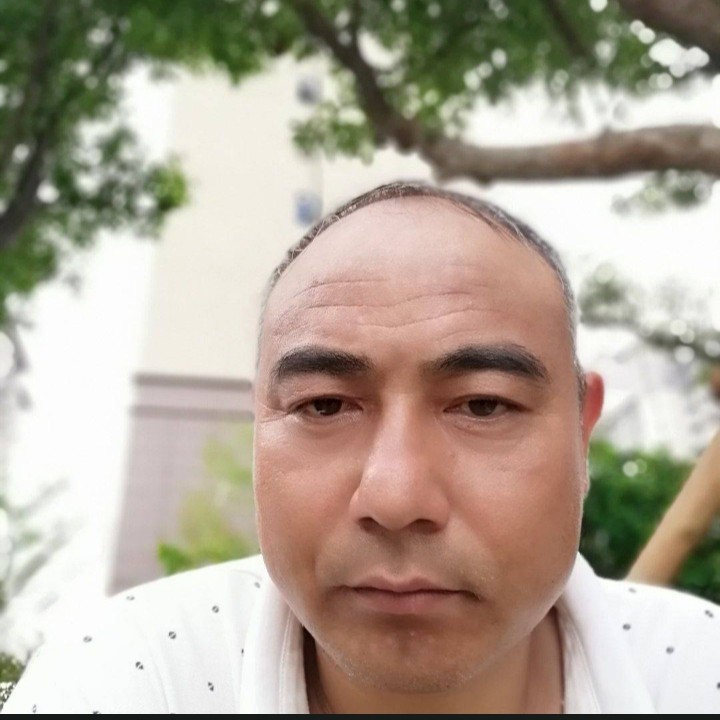 黑猫说火星上的照片