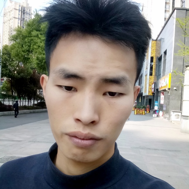 花爷的猫的照片