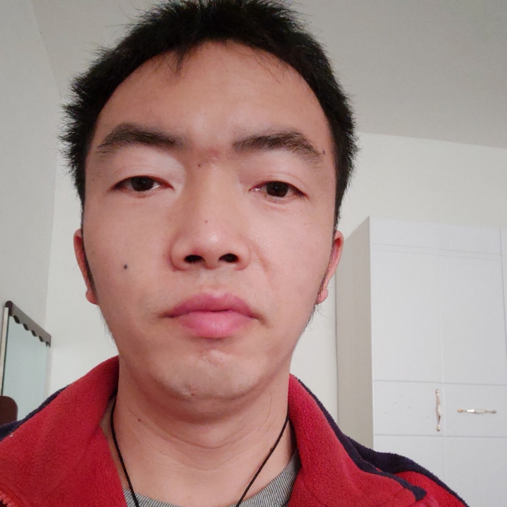饼干凝眸风趣的照片